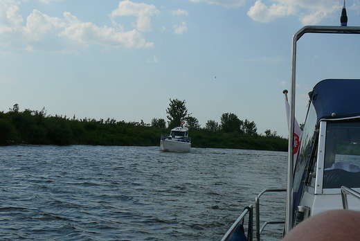 Narew w okolicach Czarnocina