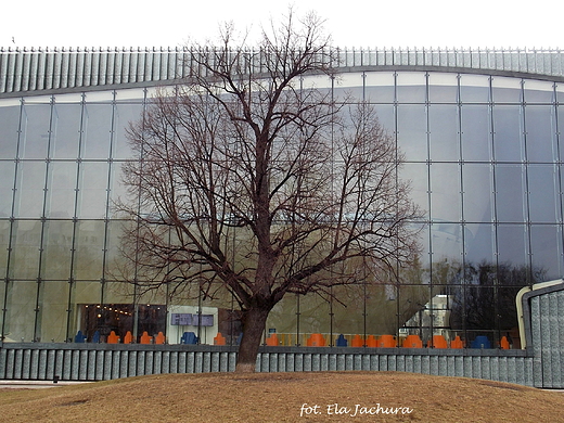 Warszawa. Muzeum Historii ydw Polskich. Widok od wschodu.