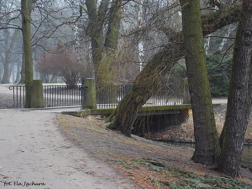 Warszawa. Marzec w azienkach.