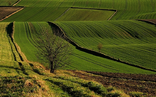 Krajobrazy Roztocza. Antoniwka