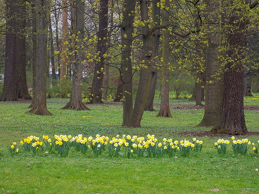 Warszawa. Wiosna w azienkach.