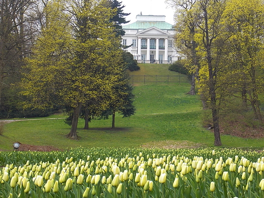 Warszawa. Wiosna w azienkach.