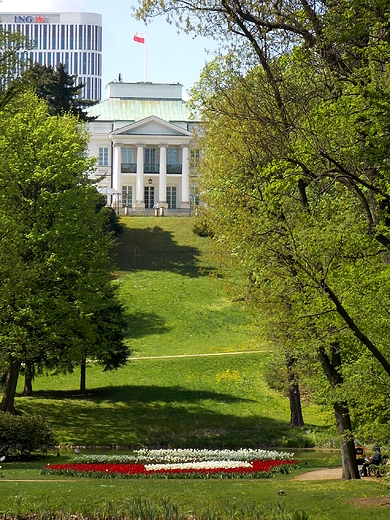 Warszawa. Tulipany przed Belwederem.