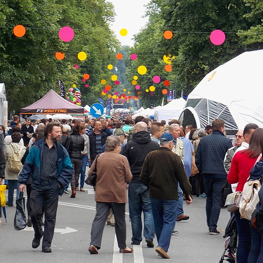 Warszawa. wito Saskiej Kpy 2015.