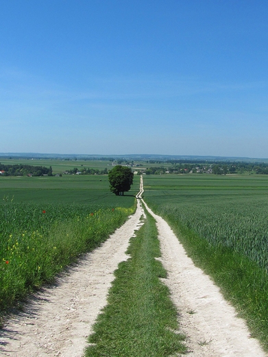 Droga do wsi