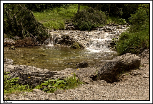 Zakopane -  idc Dolin Biaego ...