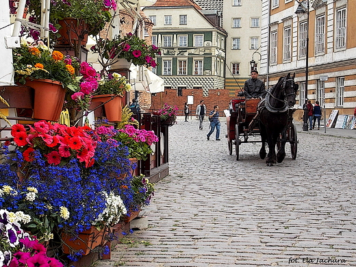 Warszawa. Na ul. Freta.