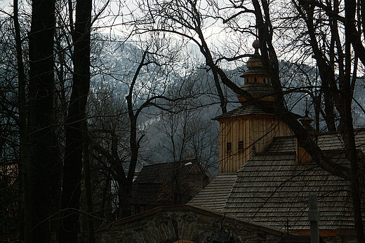 Widok z cmentarza na Pksowym Brzyzku