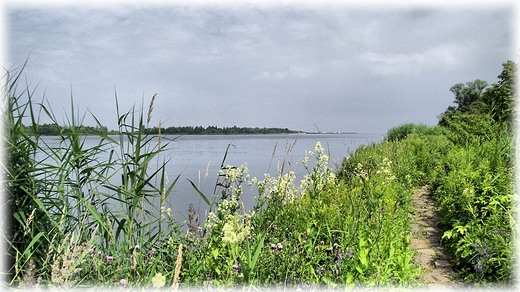 Mikoszewo- na prawym brzegu przekopu Wisy