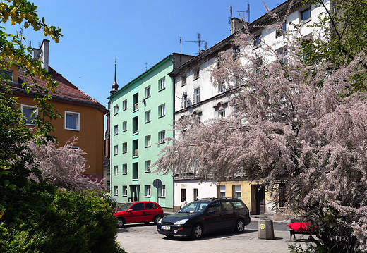 Opole. Centrum.