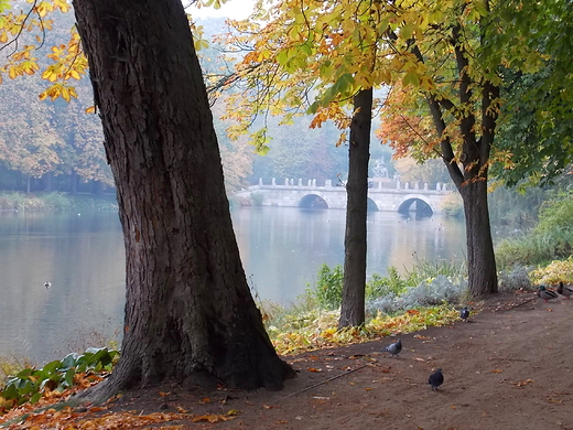 Warszawa. Jesie w azienkach.