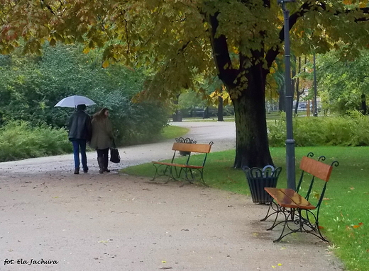 Warszawa. Ogrd Krasiskich jesieni.