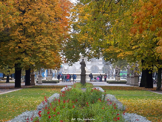 Warszawa. Ogrd Saski jesieni.