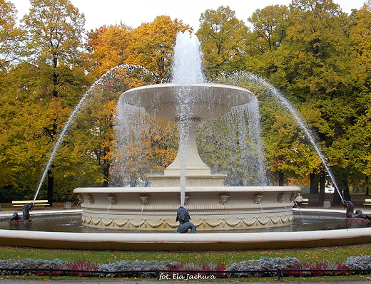 Warszawa. Fontanna w Ogrodzie Saskim.