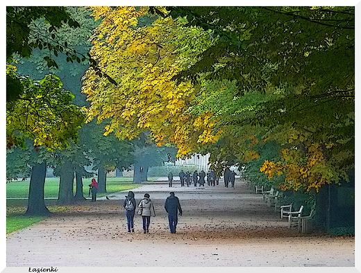 Warszawa. azienki jesieni.