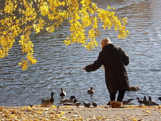 Warszawa. Park Szczliwicki jesieni.