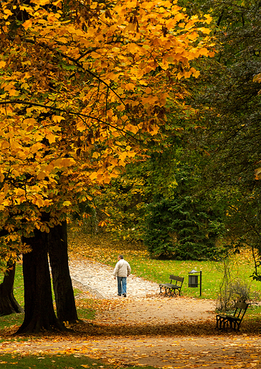 park azienki Krlewskie w Warszawie