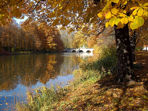 Warszawa. azienki jesieni.