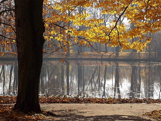 Warszawa. Park Wilanowski jesieni.