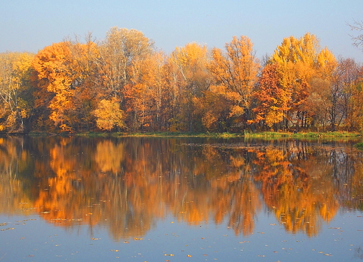 Warszawa. Park Wilanowski jesieni.