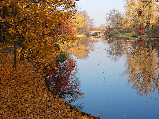 Warszawa. Park Wilanowski jesieni.