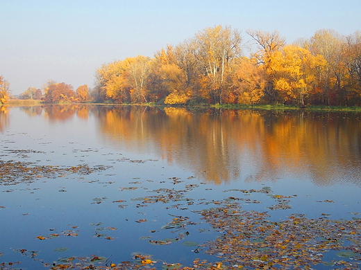 Warszawa. Park Wilanowski jesieni.