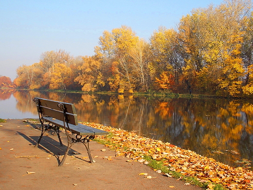 Warszawa. Park Wilanowski jesieni.