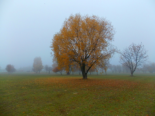 Warszawa. Park Zachodni jesieni.