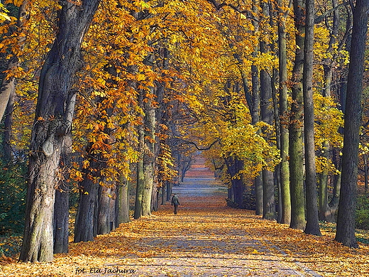 Warszawa. Jesie w azienkach.