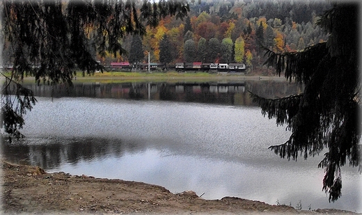 Jesie nad jeziorem Lubachowskim