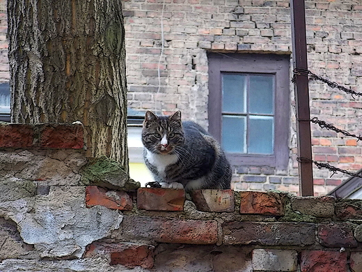 Warszawa. Klimaty warszawskiej Pragi.