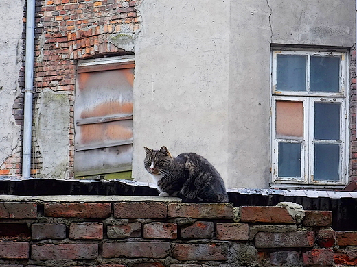 Warszawa. Klimaty warszawskiej Pragi.