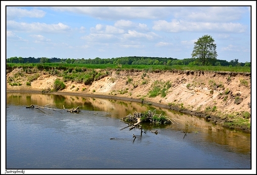 Jastrzbniki - rzeka Prosna