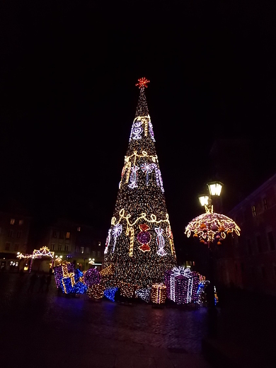 Warszawa. Choinka na Placu Zamkowym.