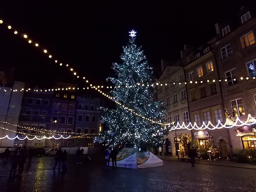 Warszawa. Choinka na Rynku Starego Miasta.