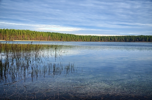 Wigry, zatoka Supiaska