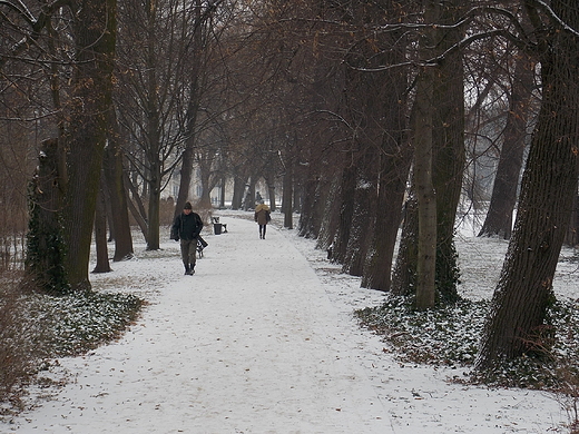 Warszawa. Zimowe azienki.