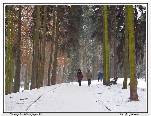 Warszawa. Zimowy Park Skaryszewski.