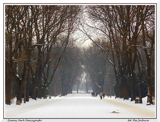 Warszawa. Zimowy Park Skaryszewski. Aleja gwna.