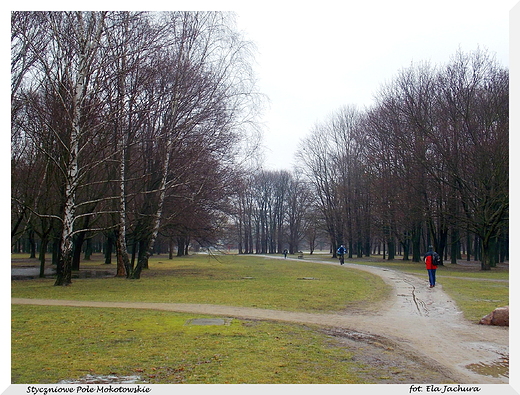 Warszawa. Park Pole Mokotowskie.