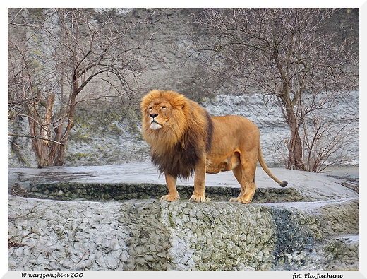 W warszawskim ZOO