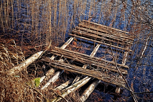 Stary pomost nad Biaym