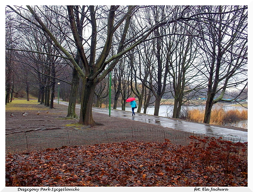 Warszawa. Deszczowy Park Szczliwicki.