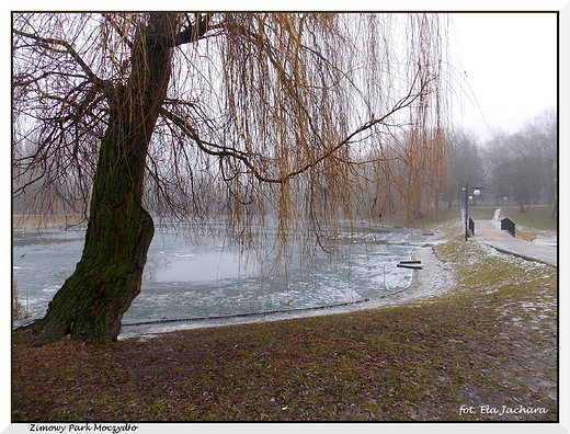 Warszawa. Zimowy Park Moczydo