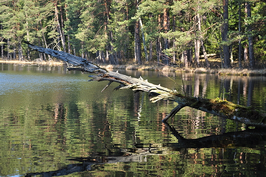 Wigierskie widoki