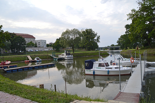 Krapkowice - Marina