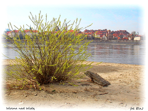 Warszawa. Wiosna nad Wis