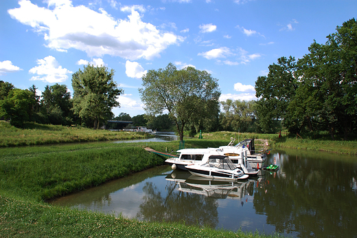 Krapkowice -  Marina, Osoboga i Odra