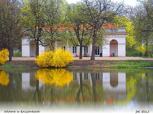 Warszawa. Wiosna w azienkach