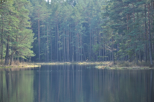 Puszczaskie jeziorko